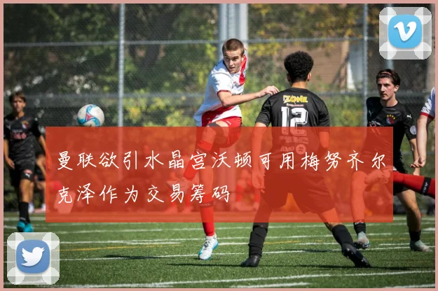 曼联欲引水晶宫沃顿可用梅努齐尔克泽作为交易筹码